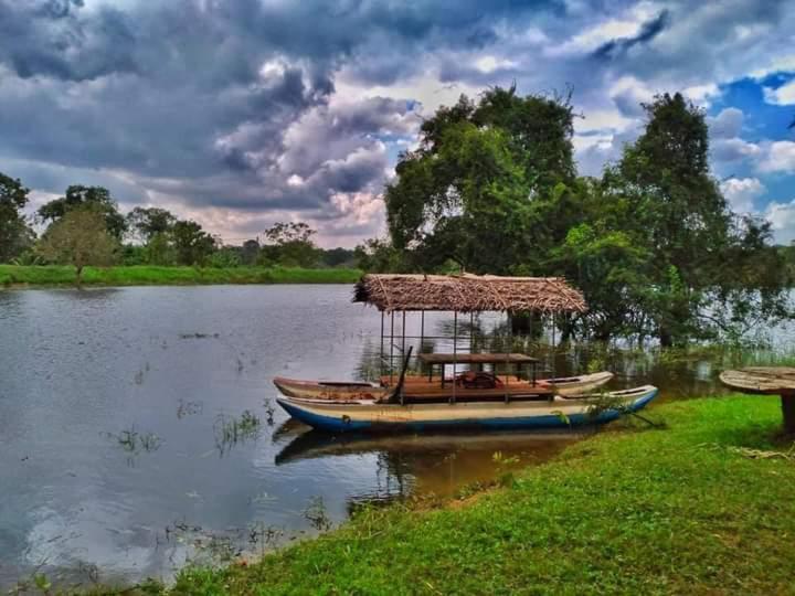 Elephant Safari Lodge Sigiriya Junction Habarana Exterior photo