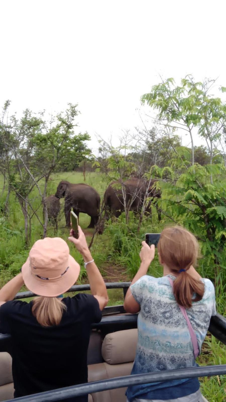 Elephant Safari Lodge Sigiriya Junction Habarana Exterior photo