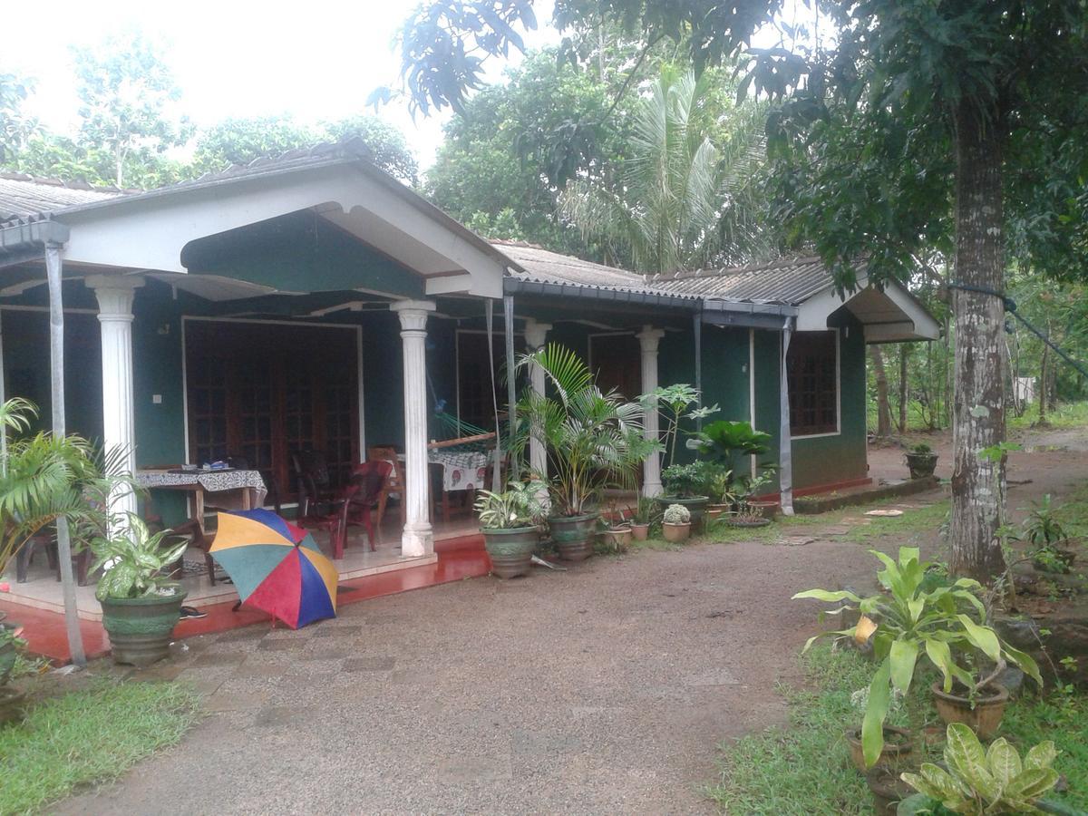 Elephant Safari Lodge Sigiriya Junction Habarana Exterior photo